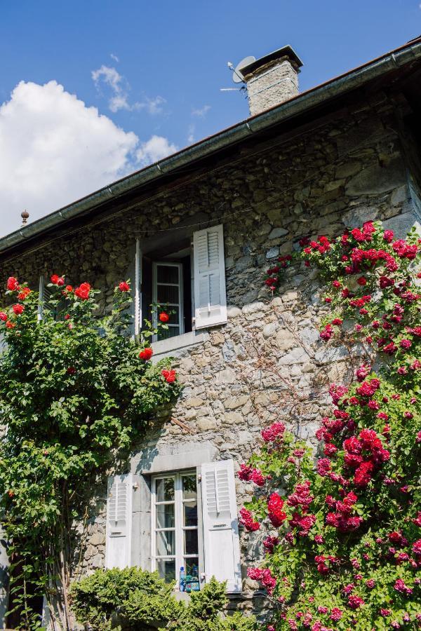 Hotel Mas De La Coutettaz, The Farmhouse 莫尔济讷 外观 照片